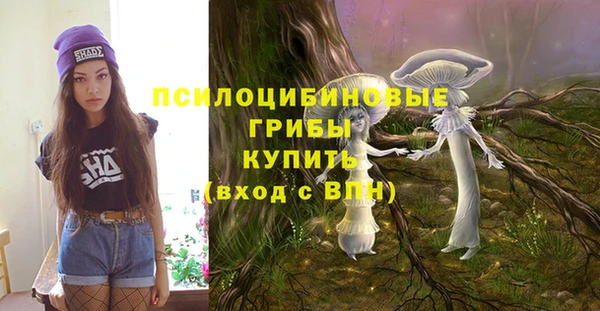 MDMA Premium VHQ Аркадак