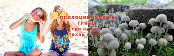 apvp Армянск