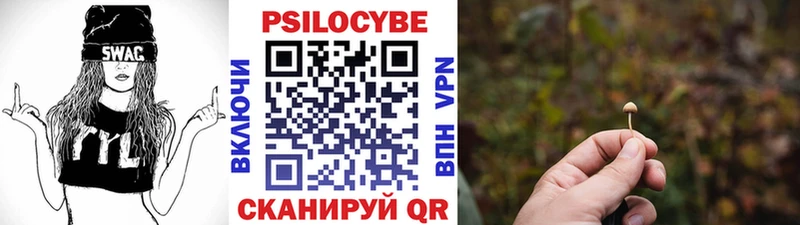 mega рабочий сайт  магазин продажи   Щёлкино  Галлюциногенные грибы Cubensis 